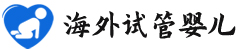 {荆州代怀双胞胎}